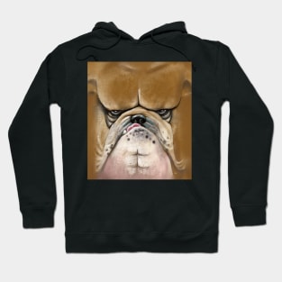 Bulldog Muscles Hoodie